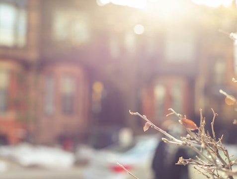 Soft-focus image of a quiet street scene with subtle shadows.