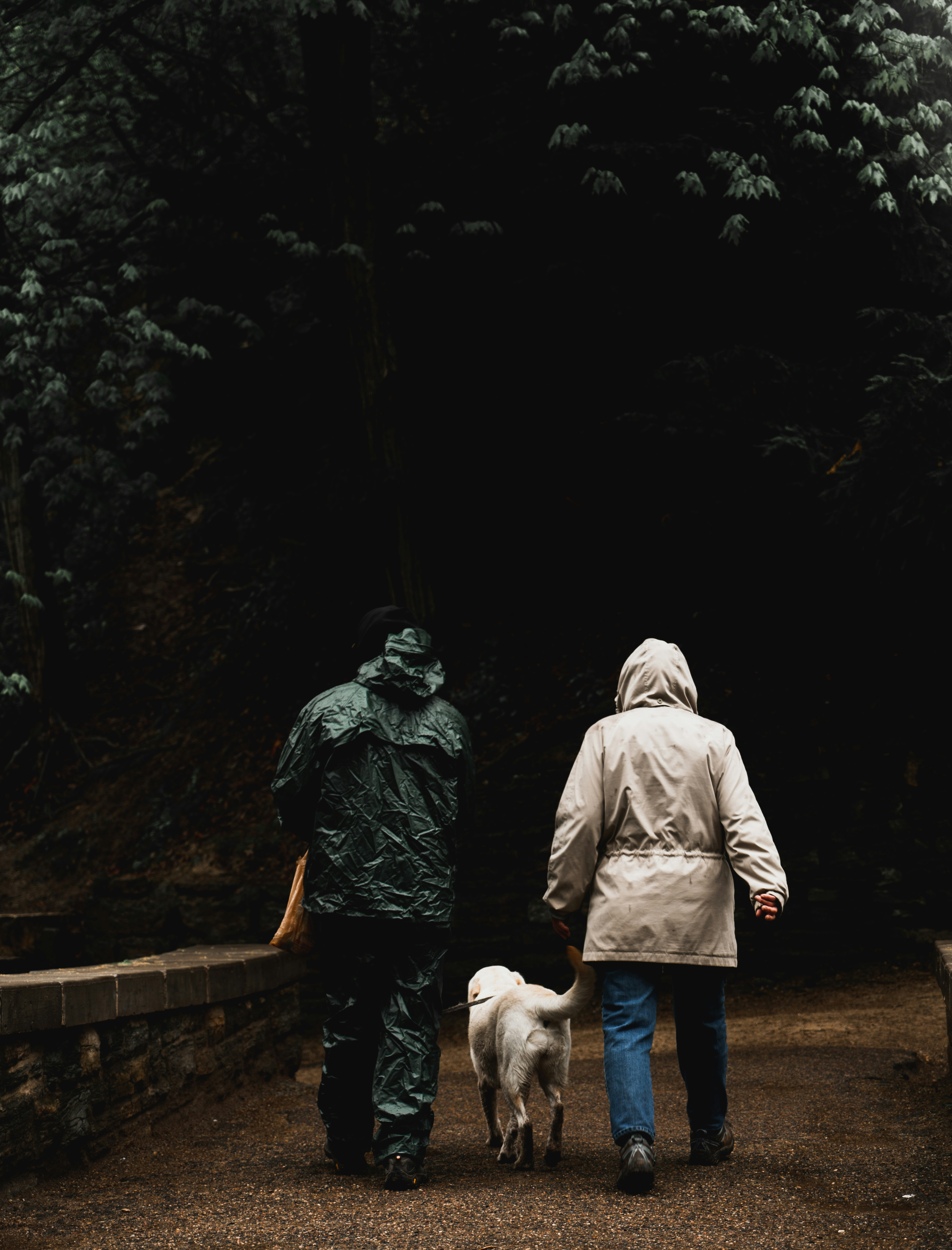 Photo by devinkaselnak