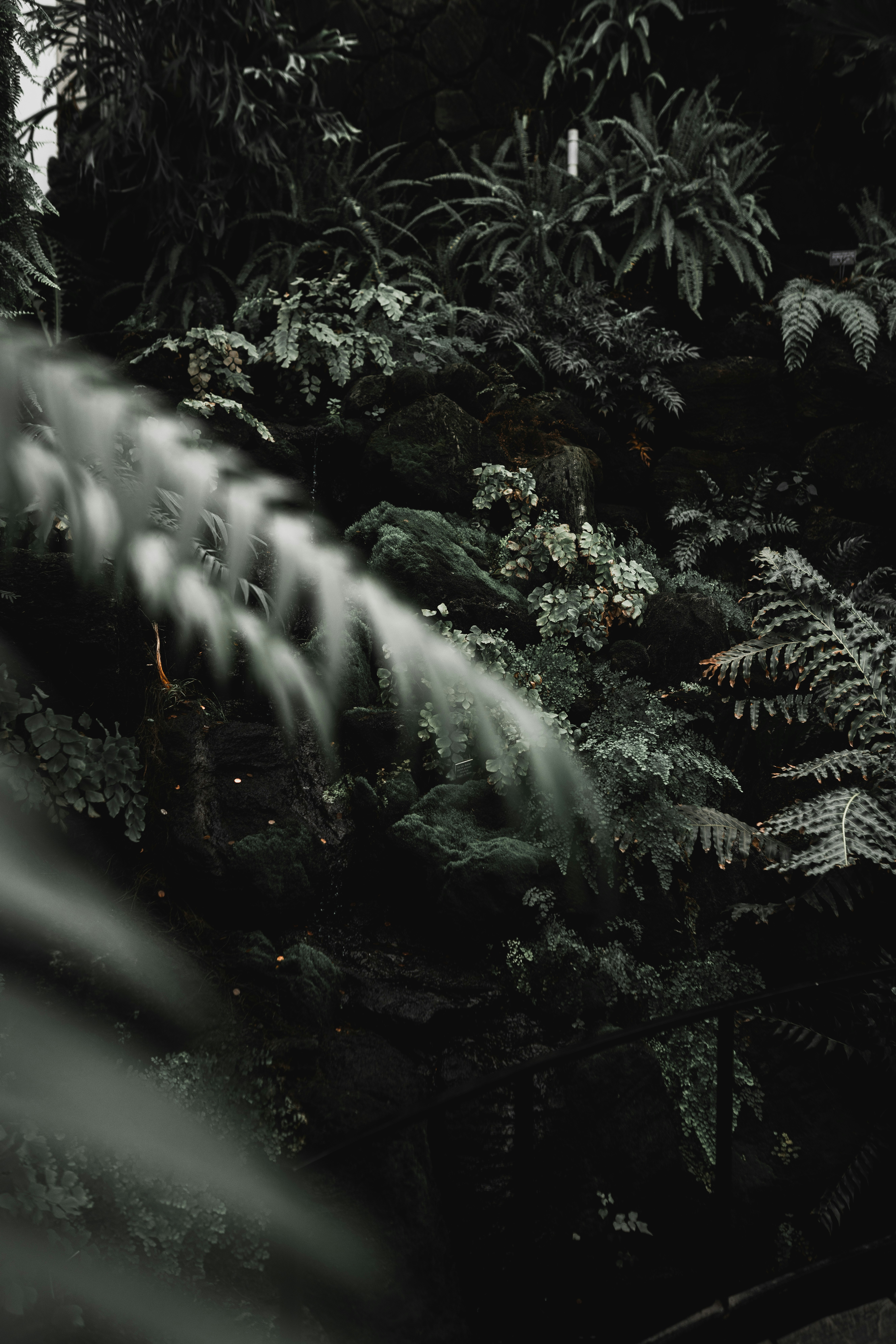 Photo by devinkaselnak