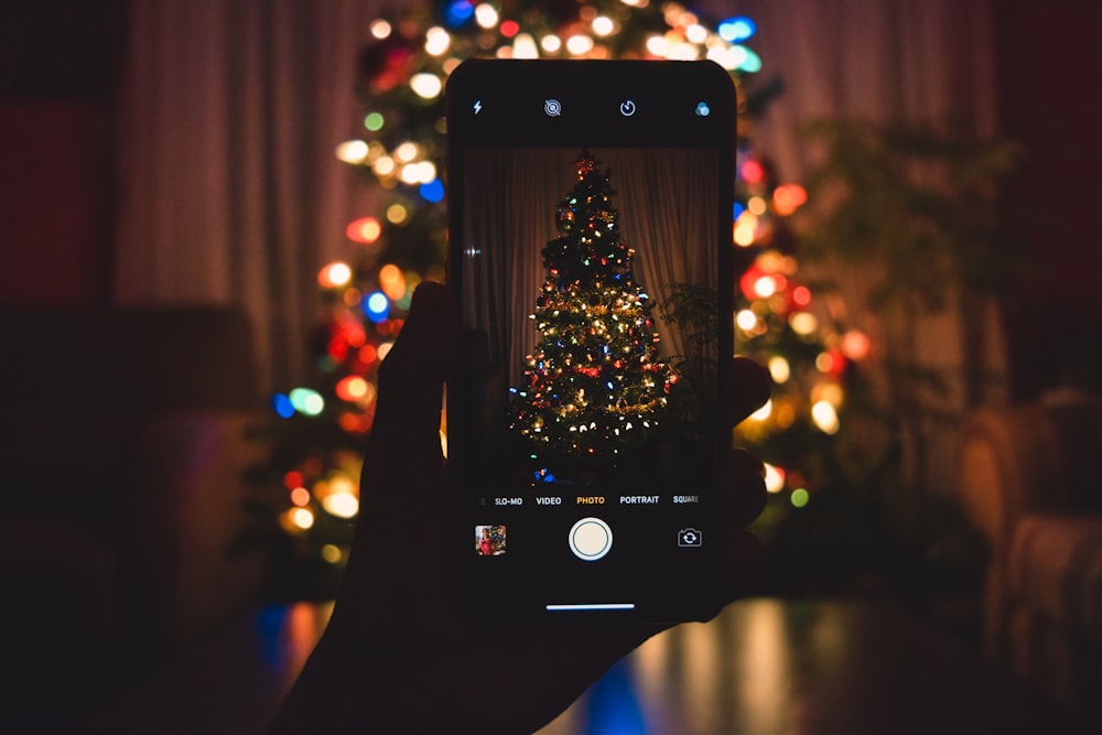 person taking photo of Christmas tree