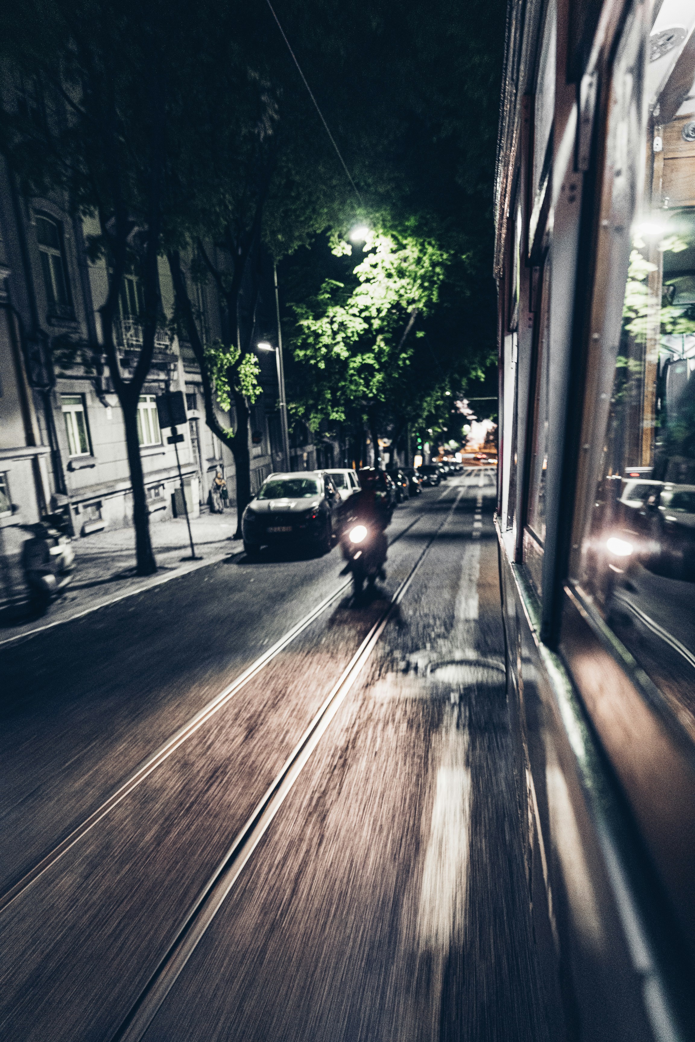 Photo by whodunelson