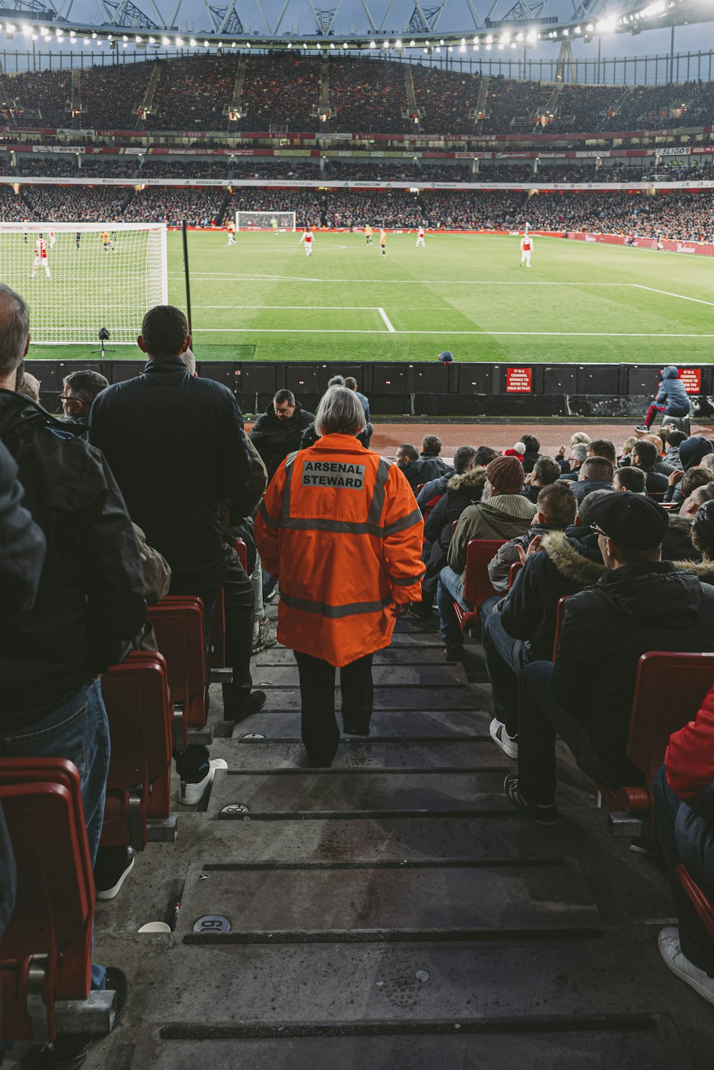 people in soccer stadium