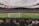 A large, bustling soccer stadium filled with spectators, featuring a vivid green field under overcast skies. The focus is on a match in progress, with players visible on the pitch and a goalpost in the foreground. The stands are packed, indicating a lively atmosphere.