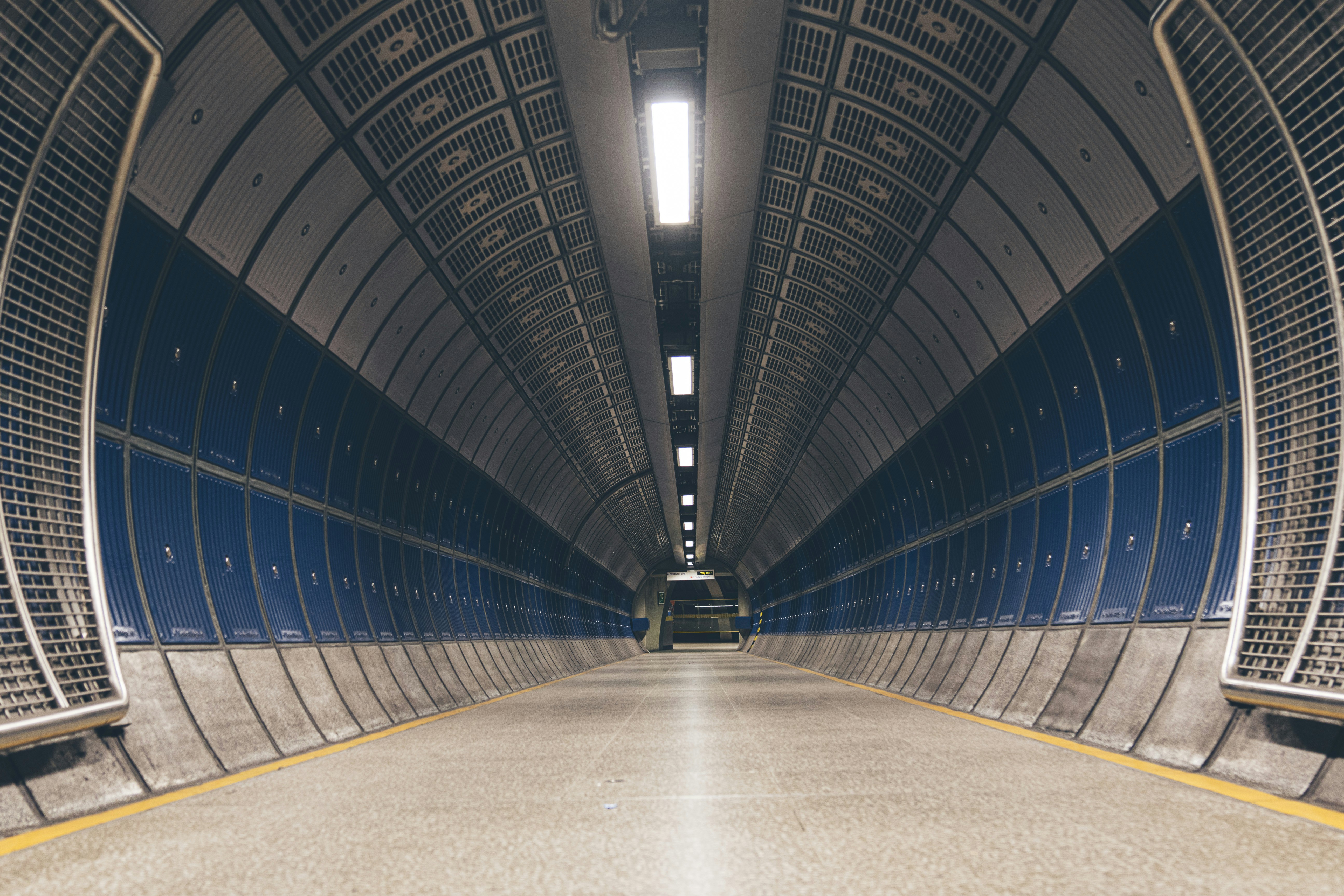 Photo by whodunelson