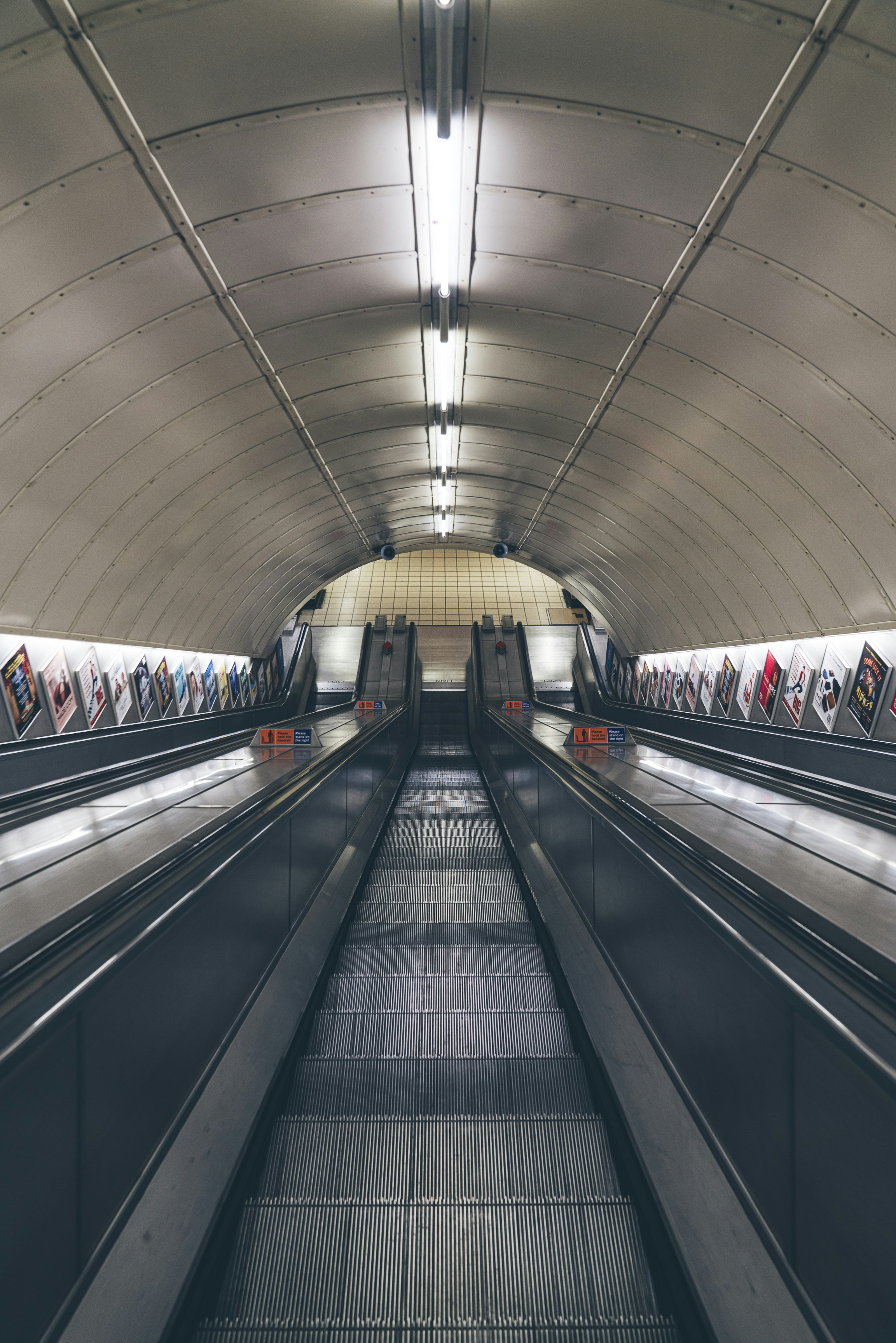 Photo by whodunelson