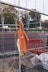 An orange safety jacket is hung on a metal fence, with construction boots on the ground nearby. There is a yellow electrical cord hanging and an orange plastic barrier visible in the background. Trees and people walking are visible in the distance beyond the barrier.