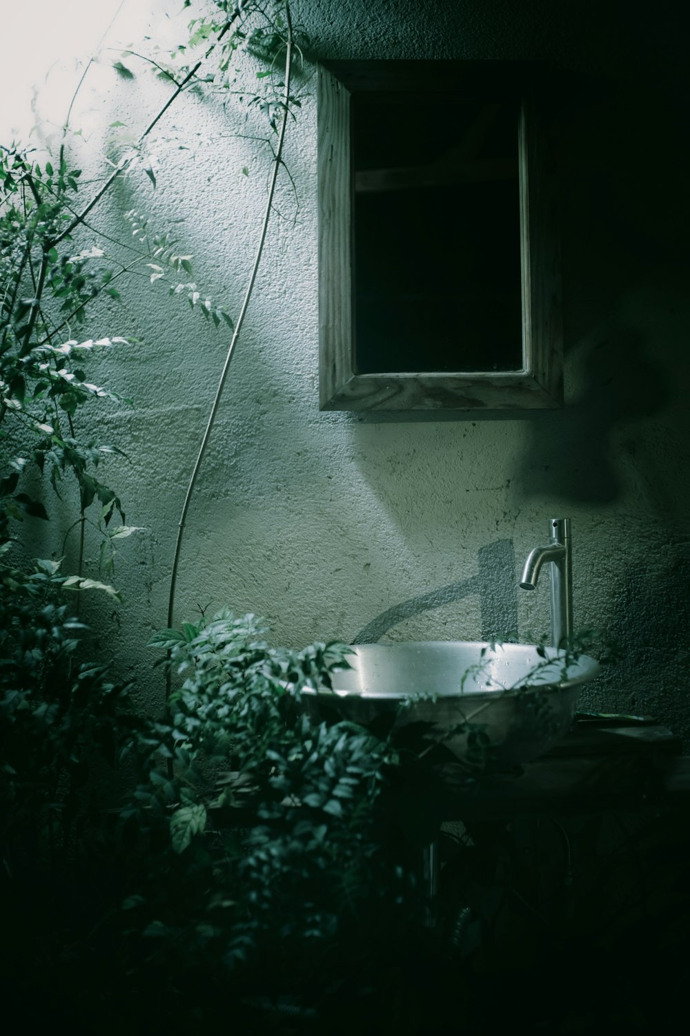 silver vessel sink near plant