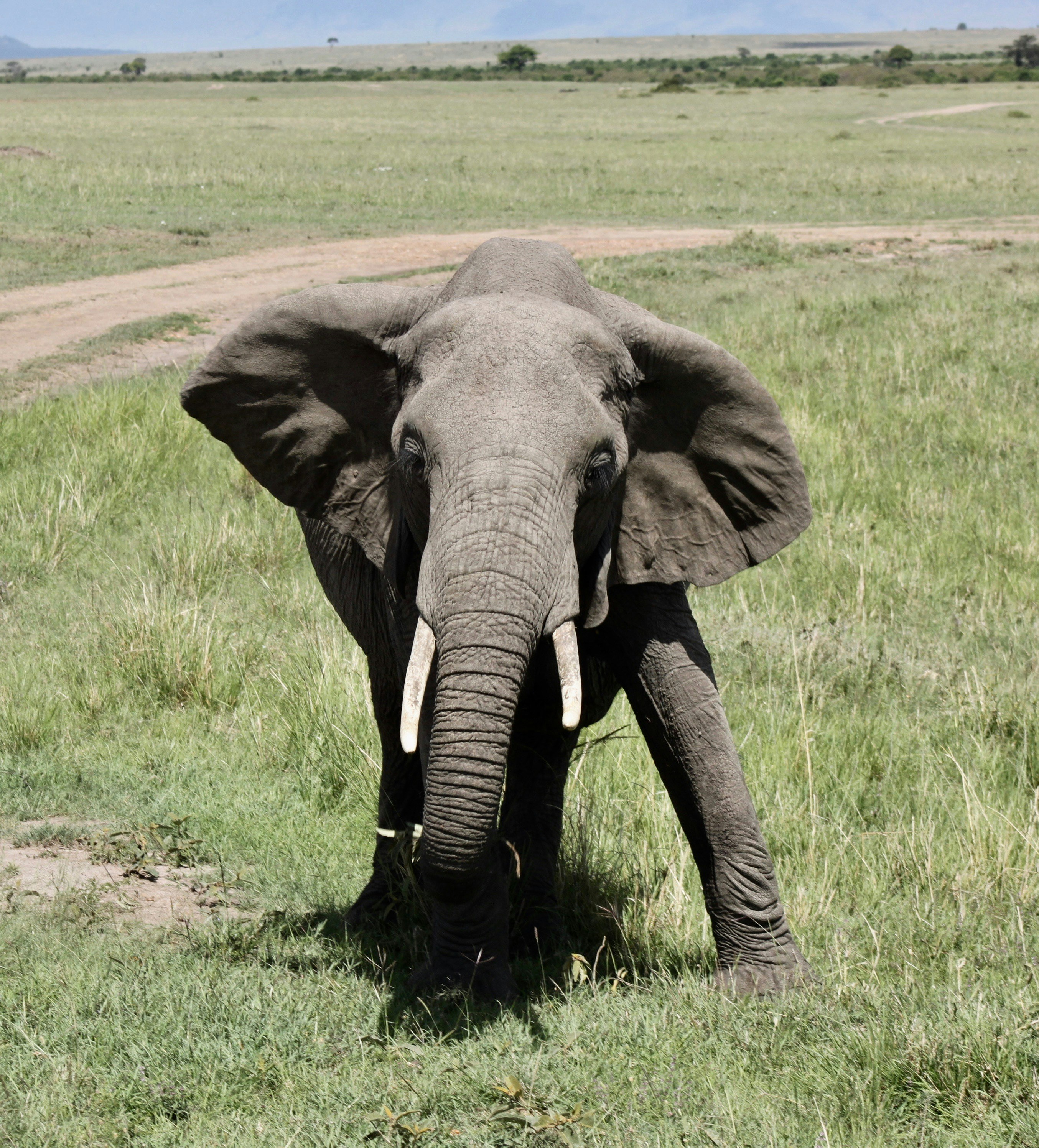 Photo by jackgetcarter