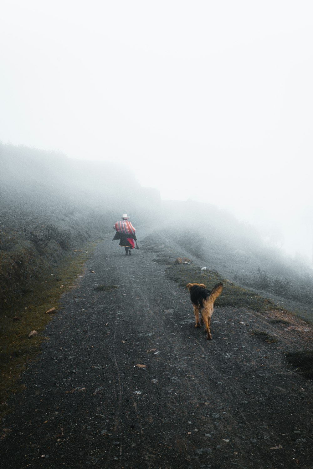 person on hill with fogs