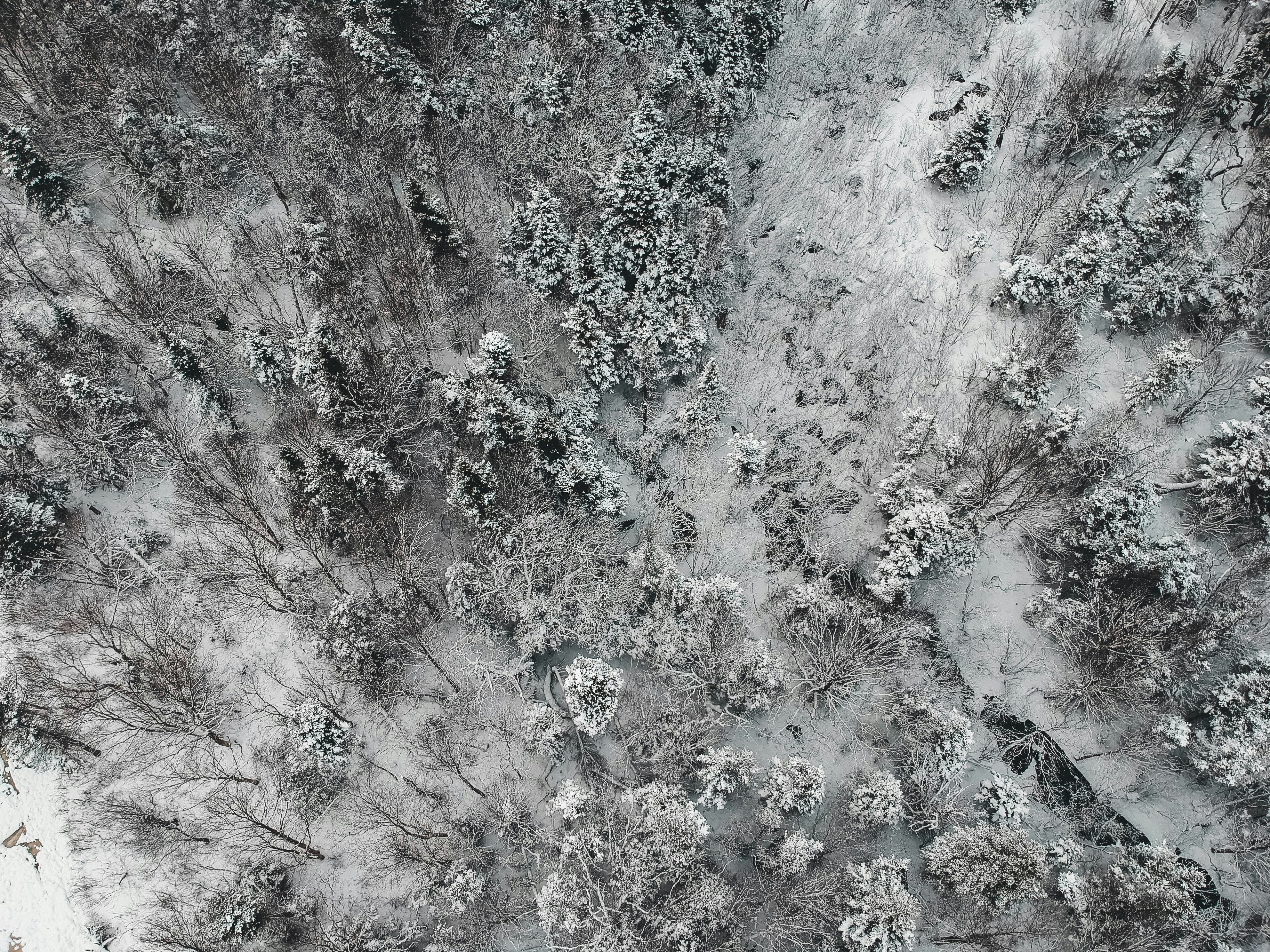 Photo by introspectivedsgn