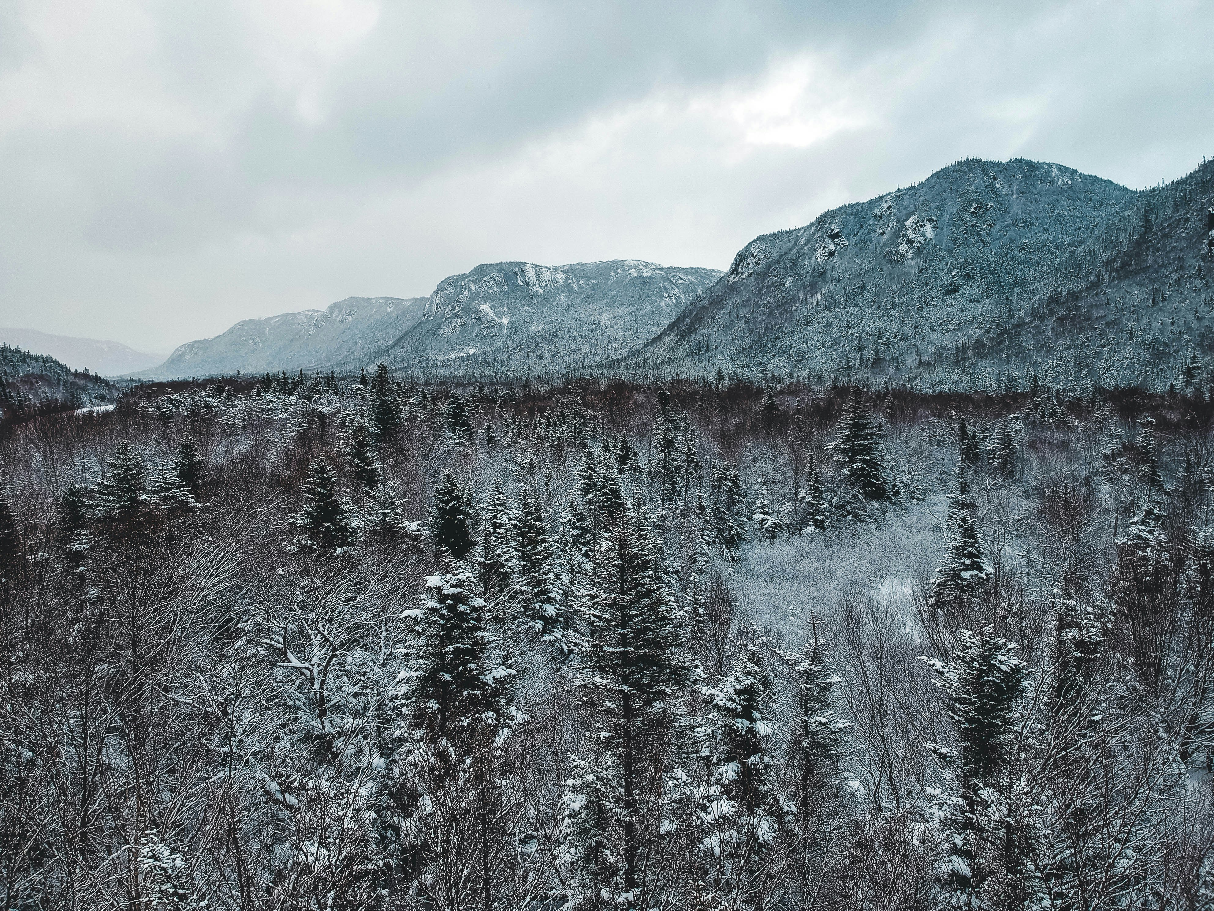 Photo by introspectivedsgn