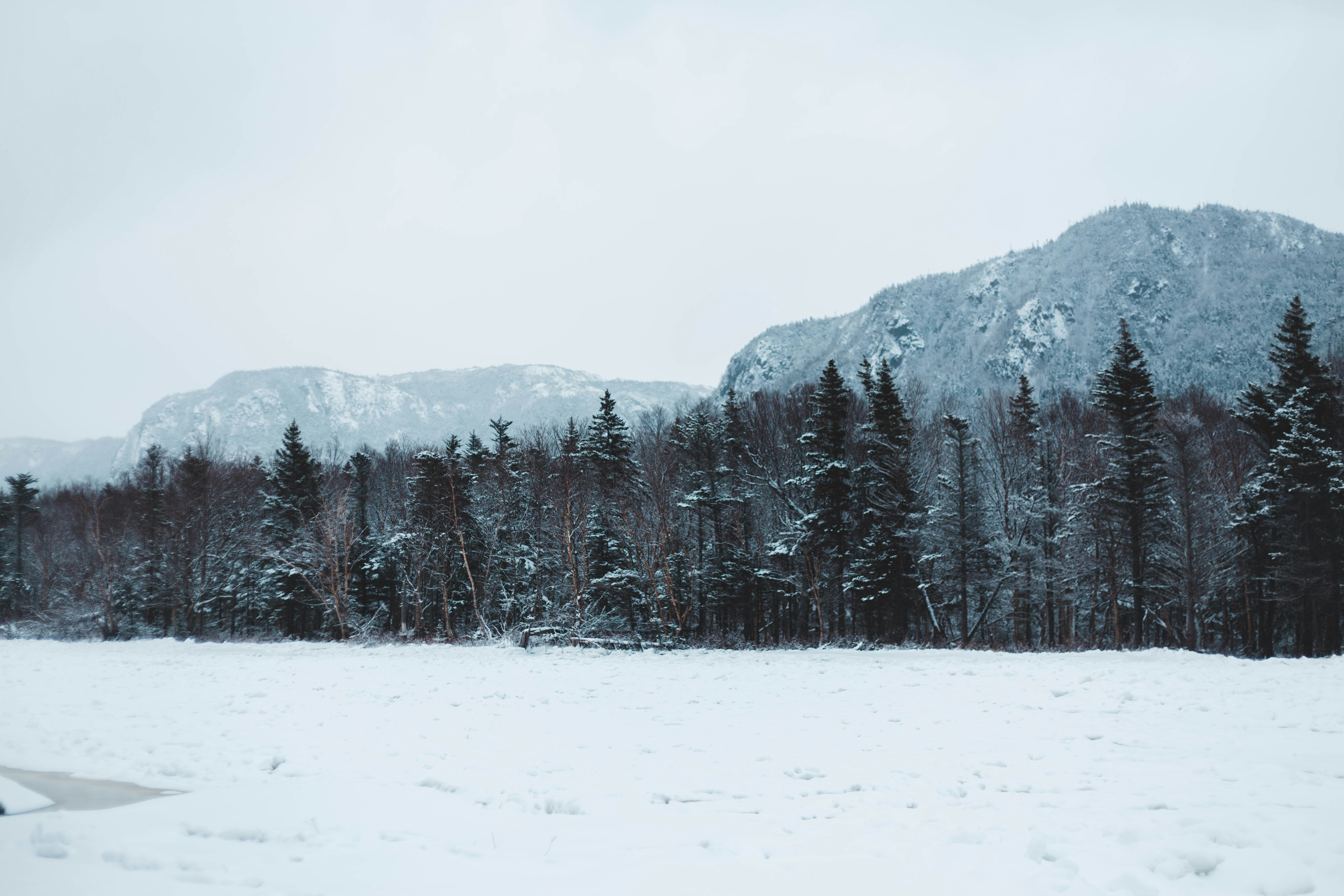 Photo by introspectivedsgn