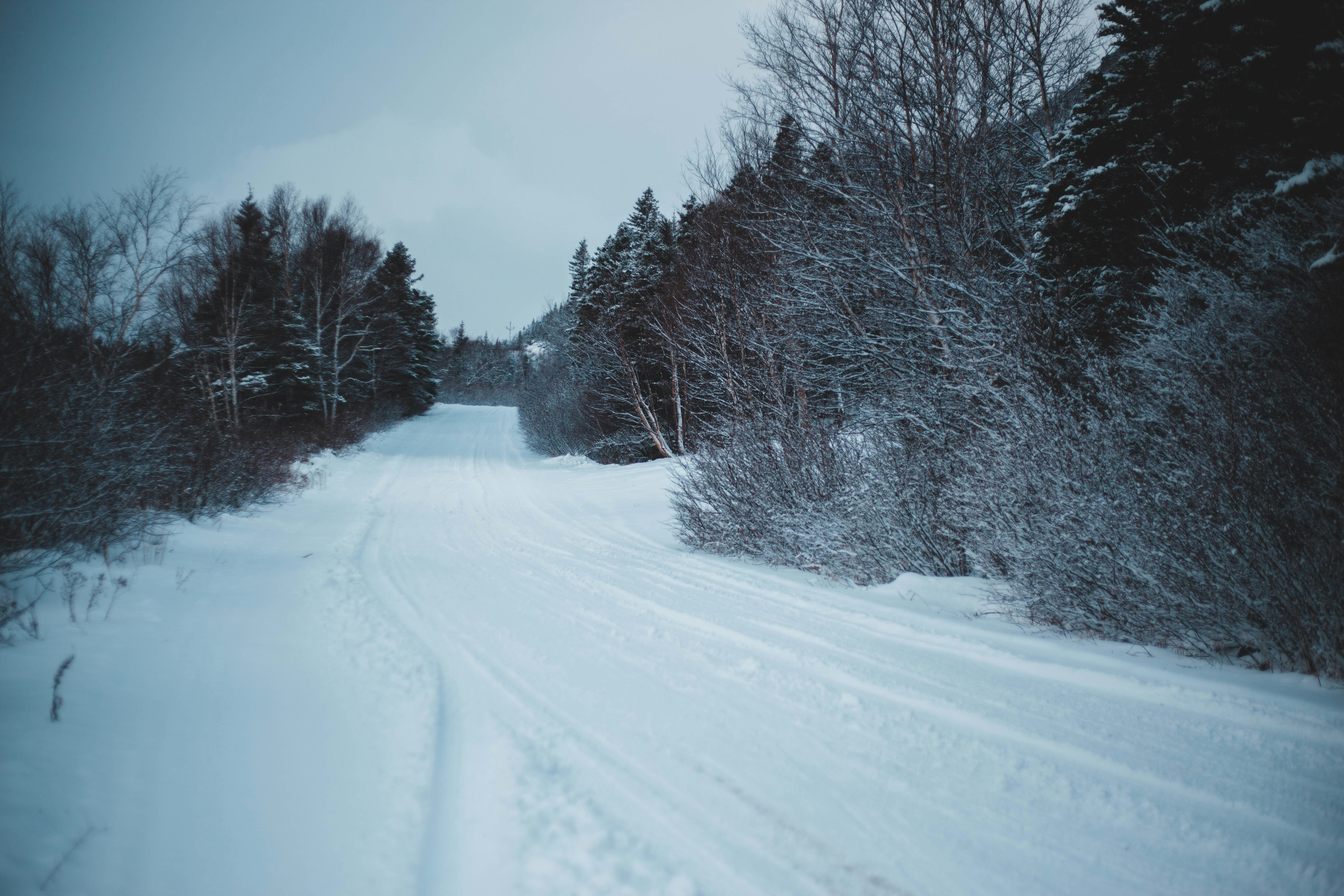 Photo by introspectivedsgn