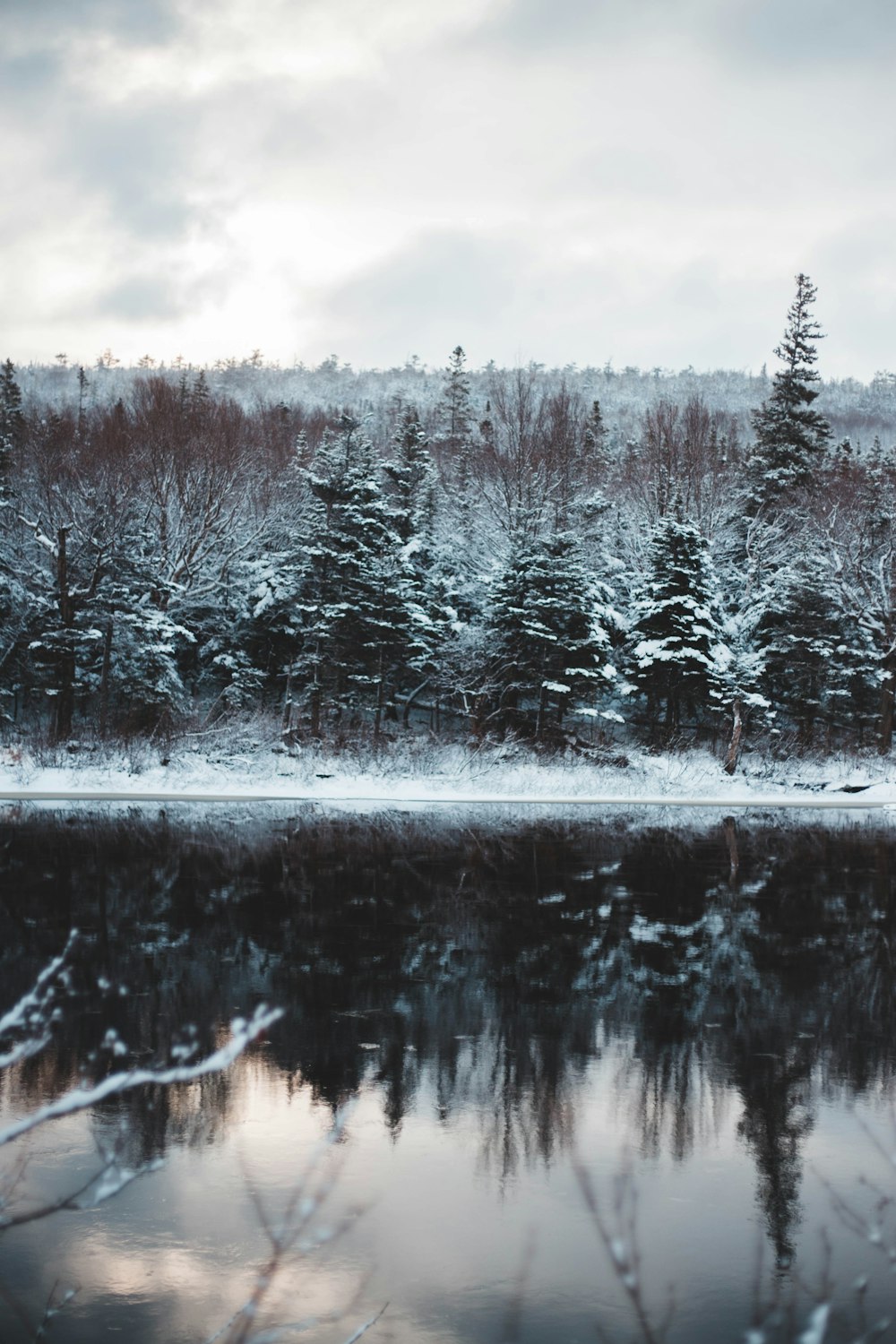 lake in forest with snow