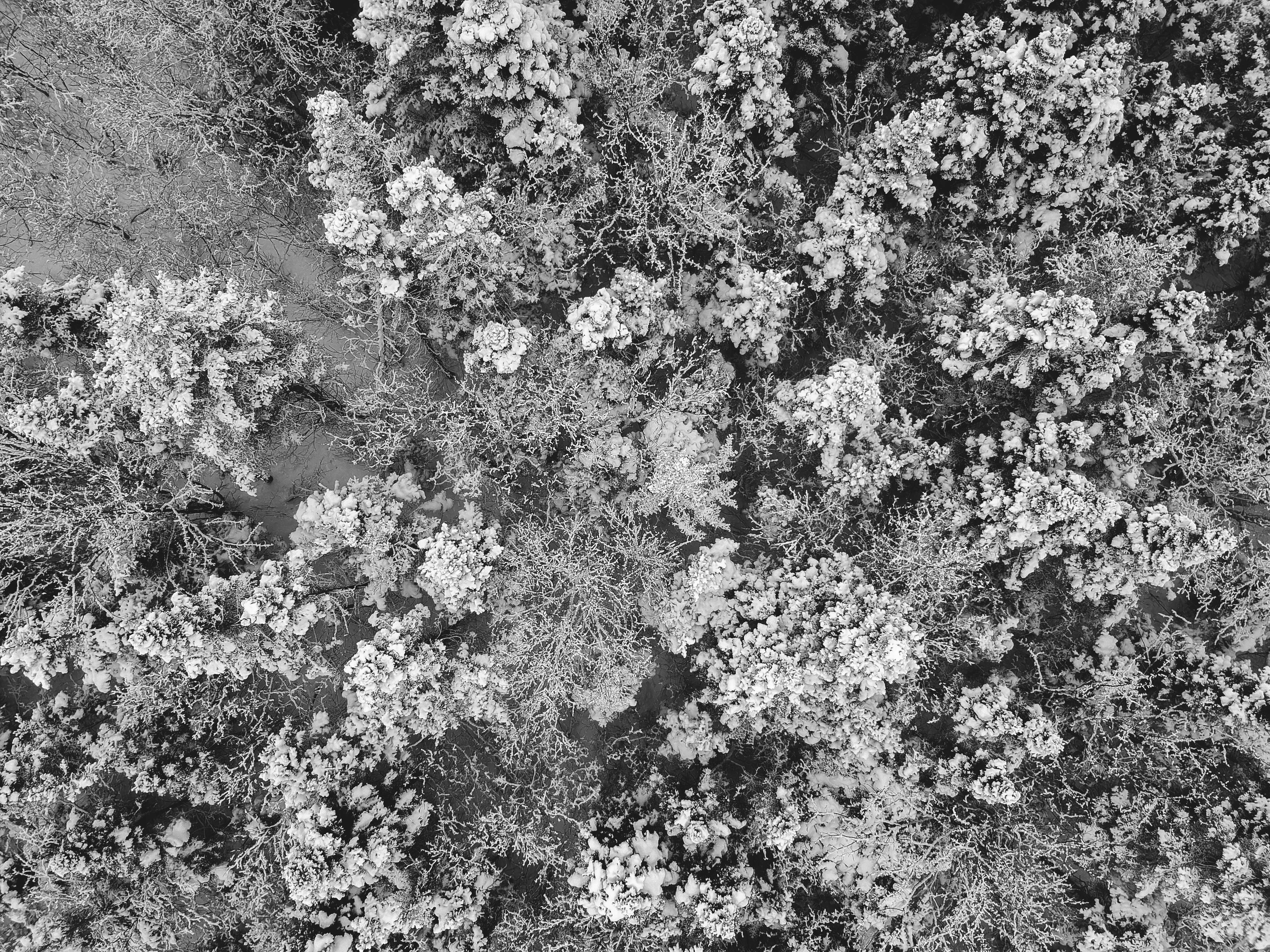 Photo by introspectivedsgn