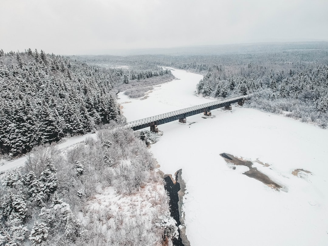 bridge in snow forest