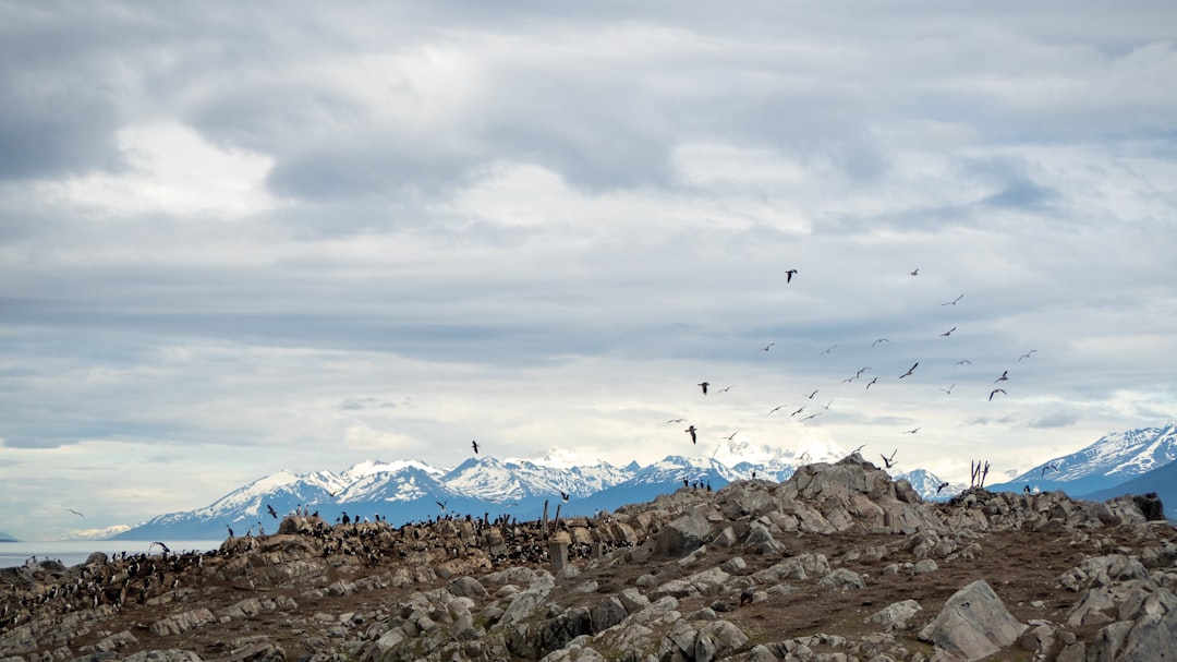 Summit photo spot Ushuaia Argentina