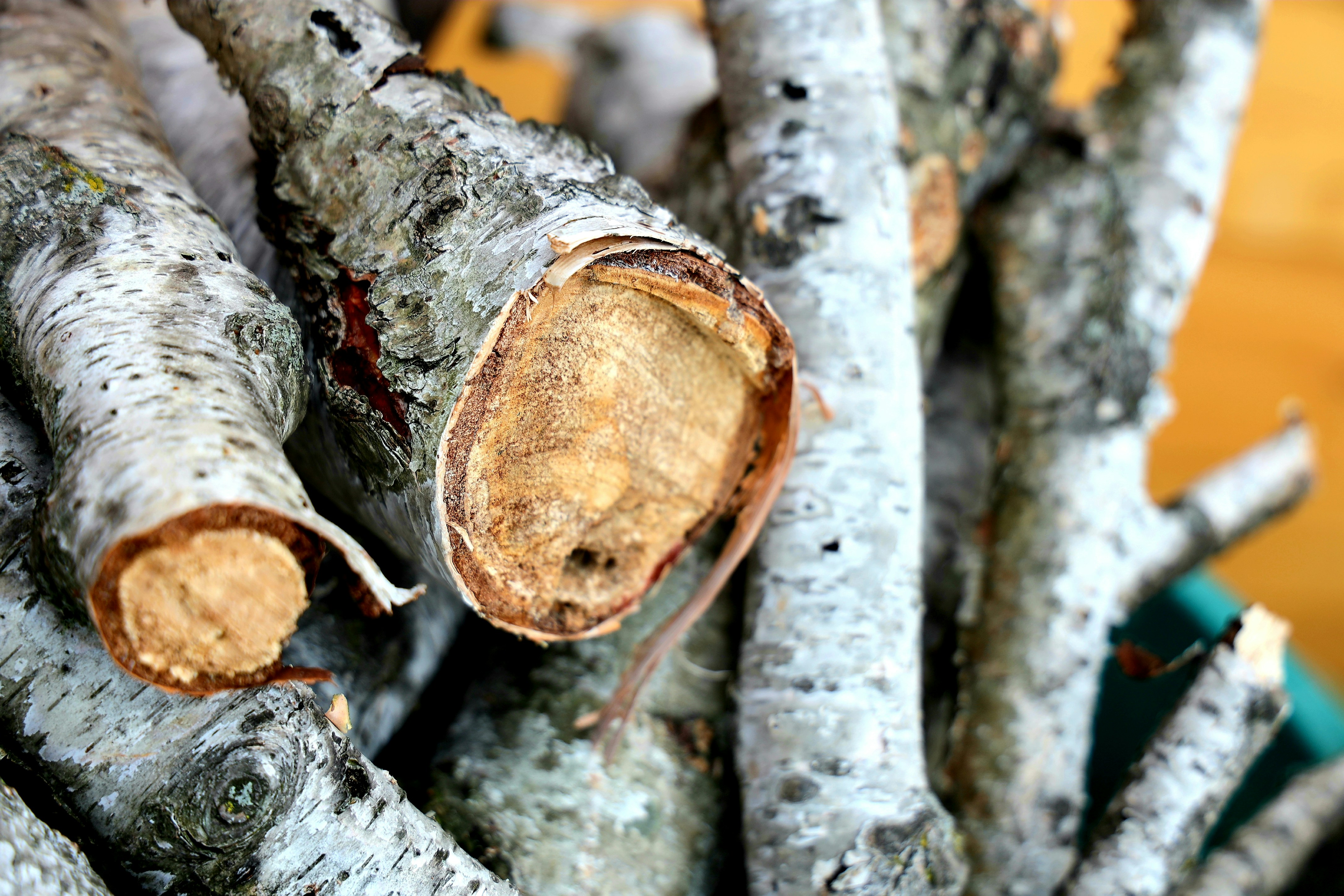 Photo by richardworks