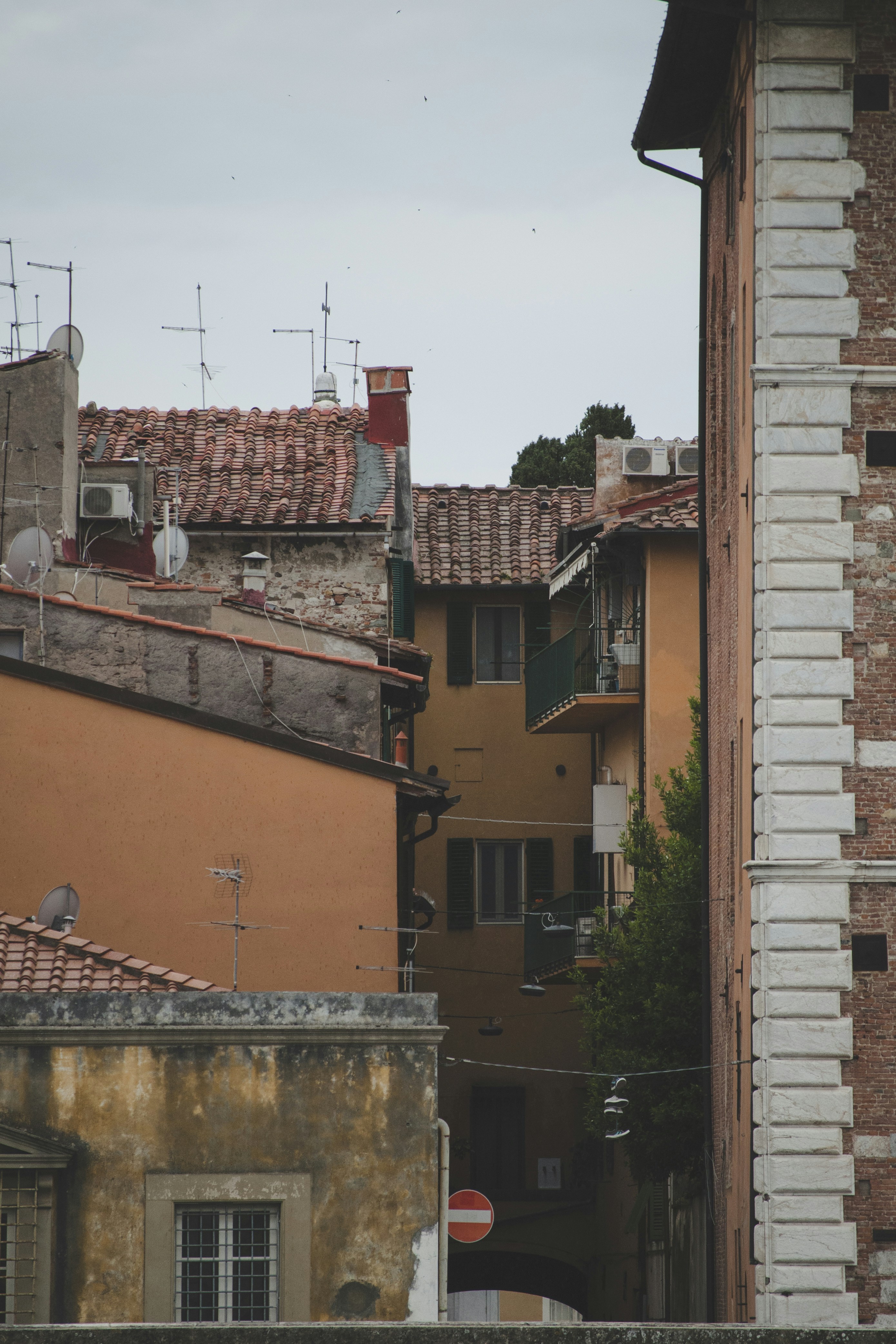 Photo by yuli_superson