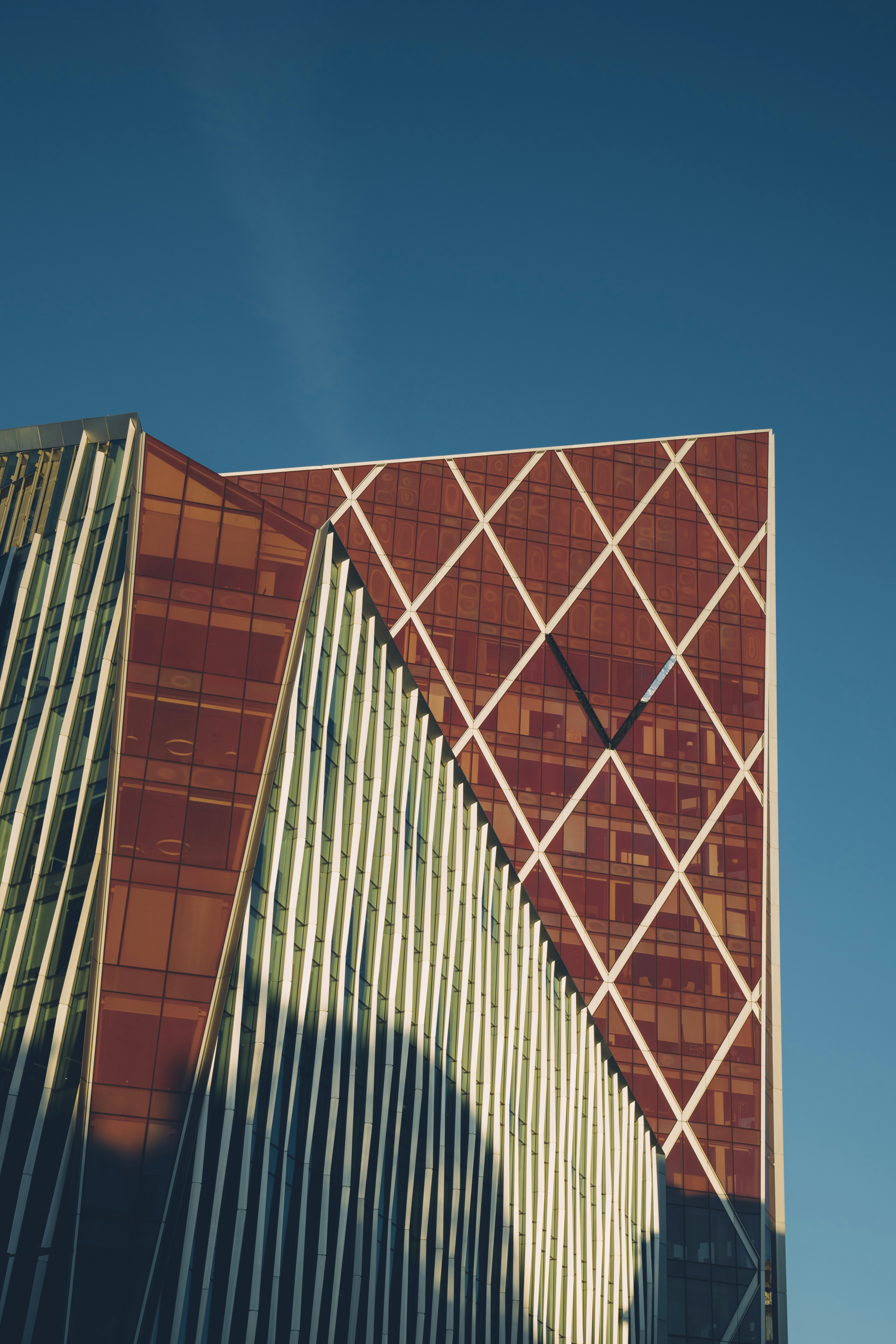 Photo by whodunelson