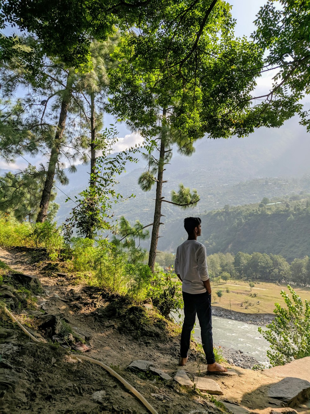 man standing near the tree