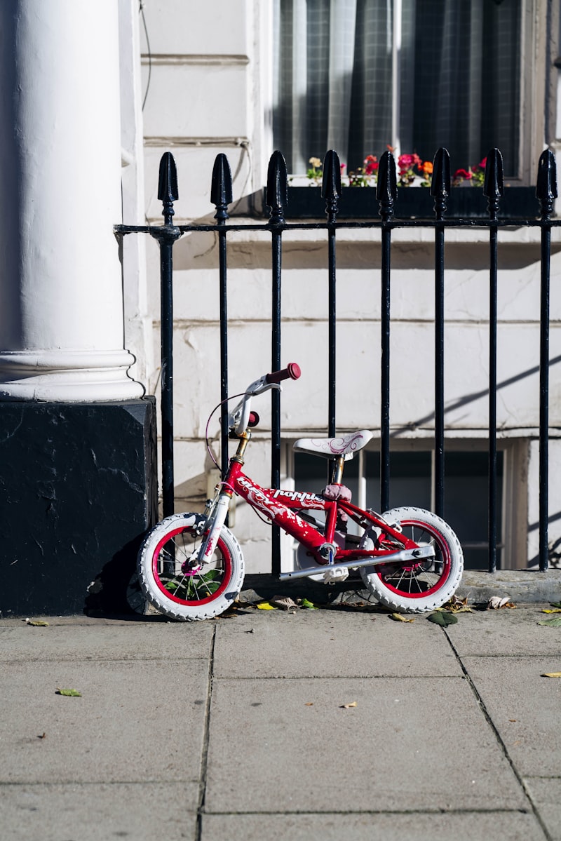 Cube Ella Ride 2021 — 2