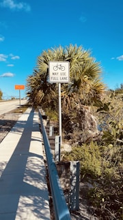 A bicycle lane sign indicating that cyclists may use the full lane is situated next to a sidewalk. The surrounding area includes a large bush or small palm tree and various greenery. The sky is clear and blue, suggesting a bright day, and there is a road with a guardrail adjacent to the sidewalk.