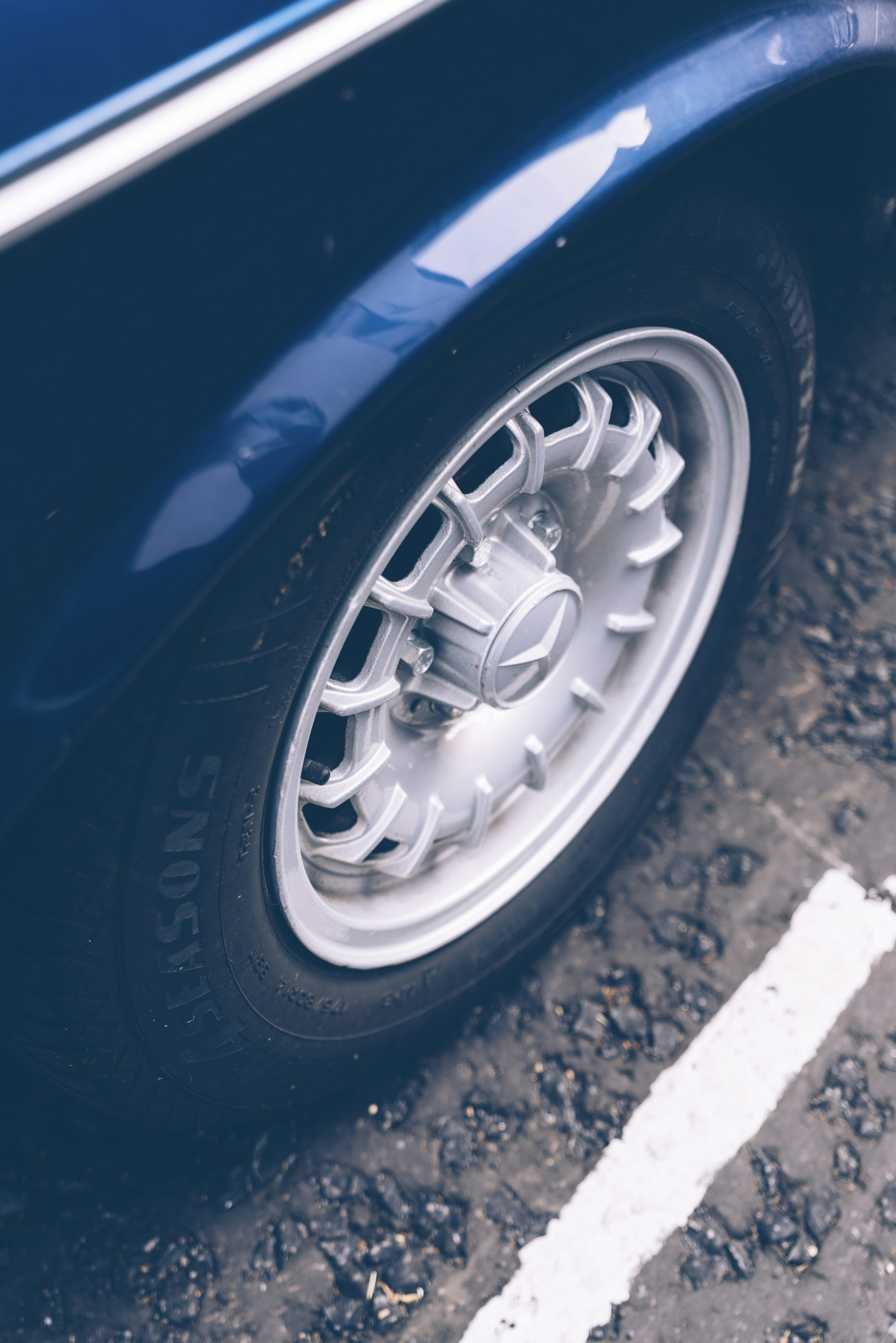 Photo by whodunelson