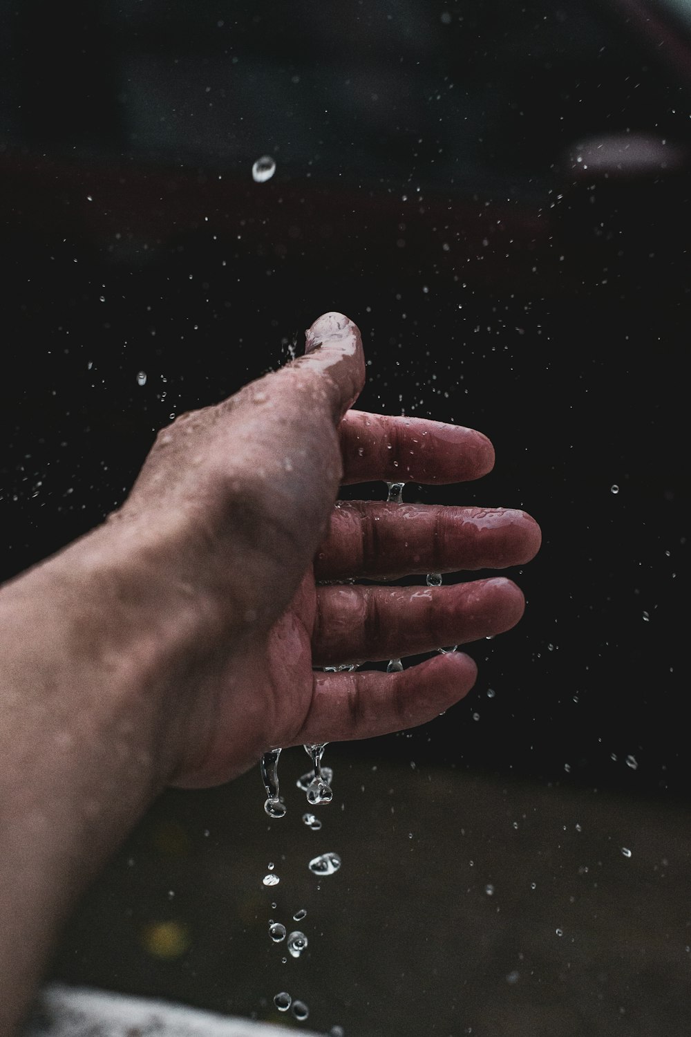person holding water