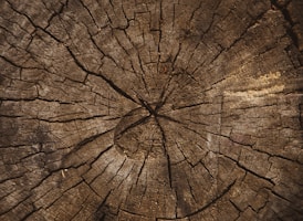 macro photography of brown plank