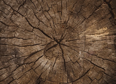 macro photography of brown plank organic teams background