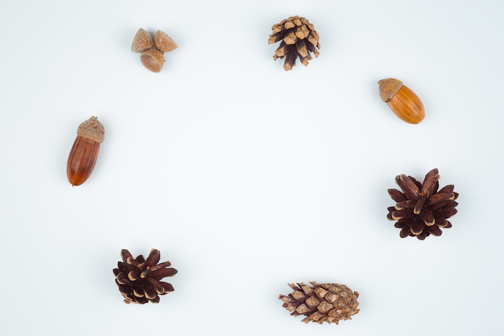 four brown pinecones and three acorns