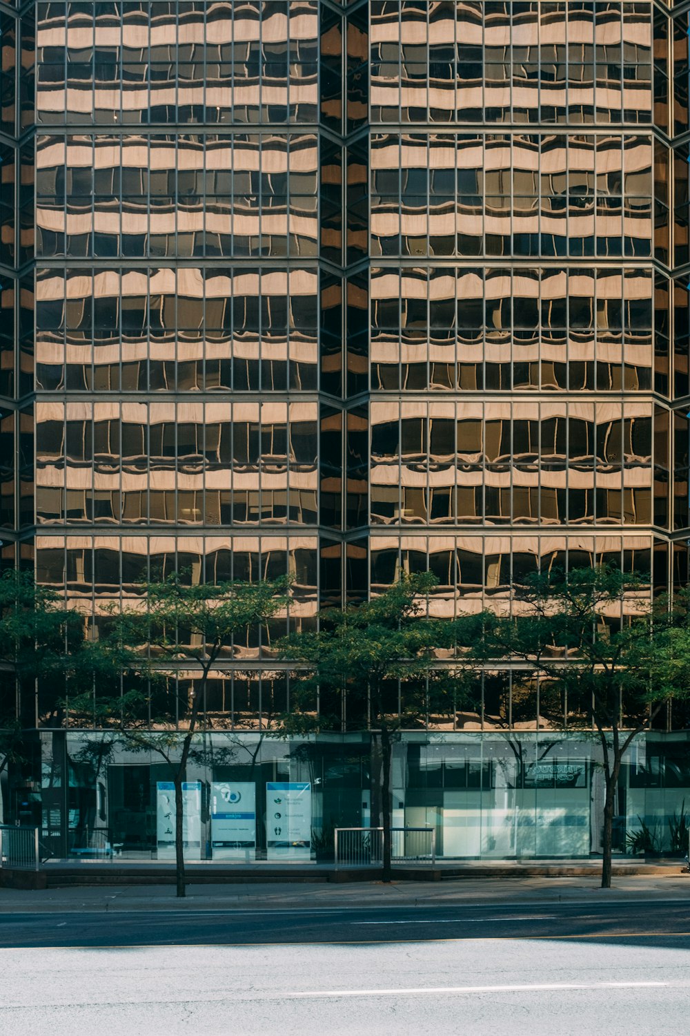 brown glass high-rise building near trees