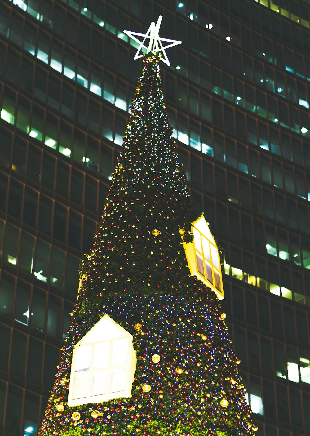 view of big lighted Christmas tree outside building