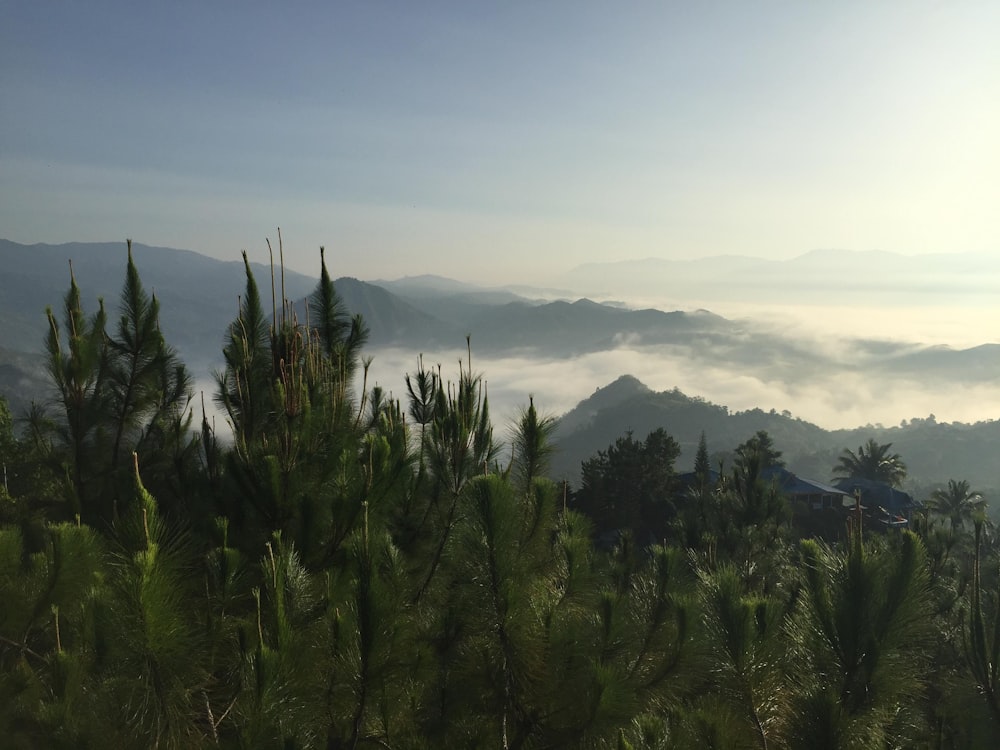 view of landscape under clear sky