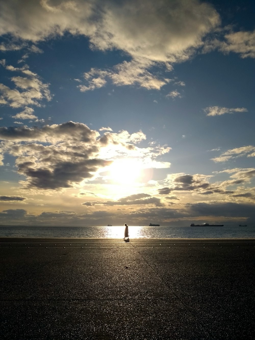 person walking on shore