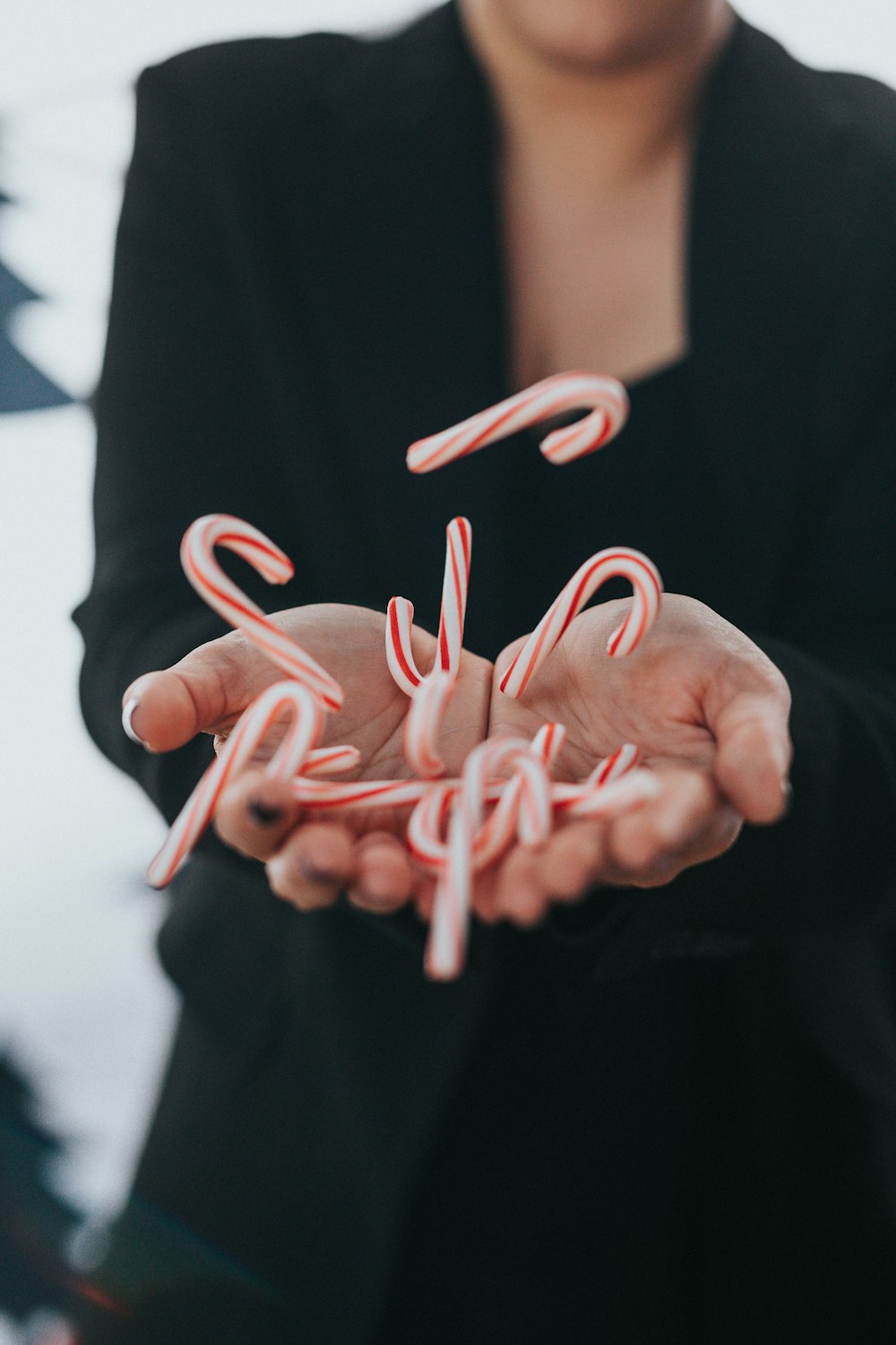 person holding candycanes