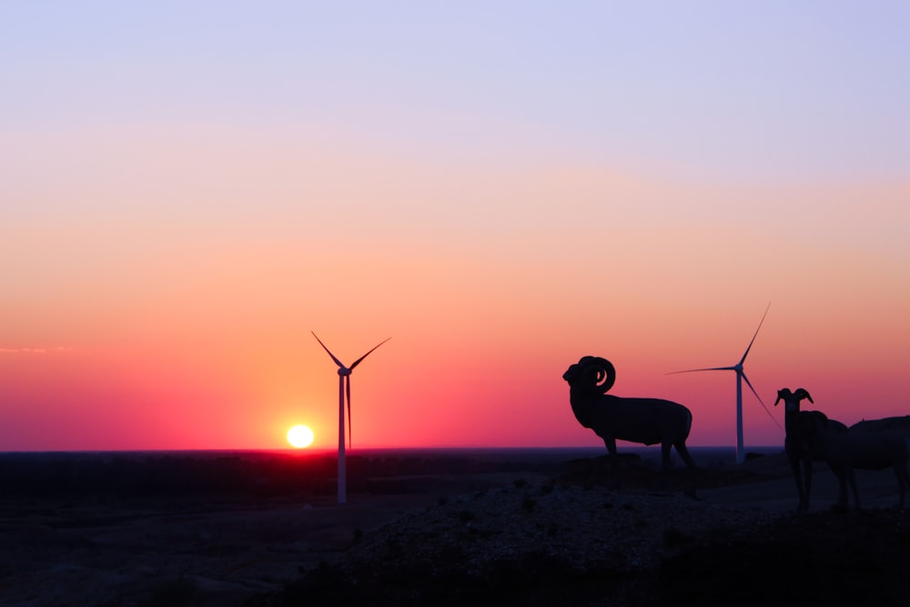 silhouette of windmill