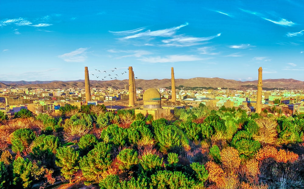 a view of a city with a lot of trees in the foreground