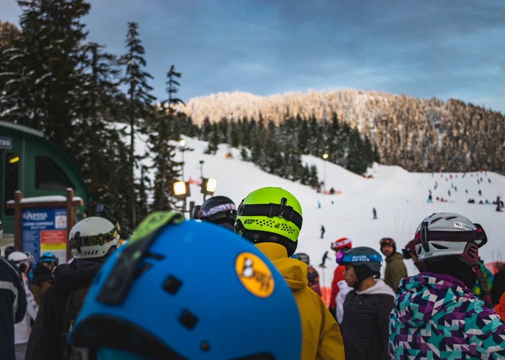 people skiing near trees