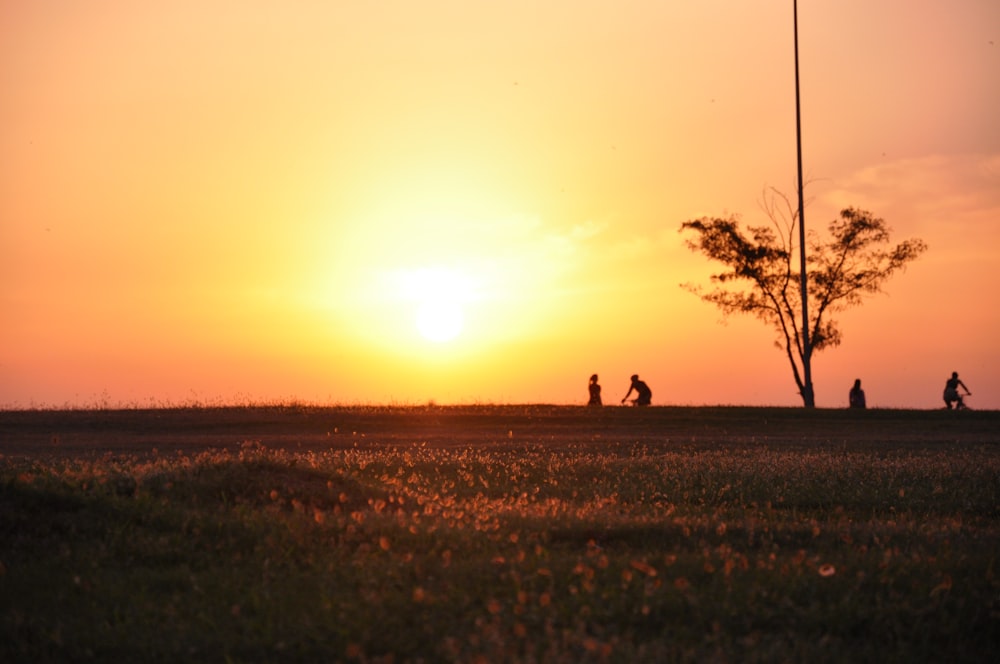 a group of people riding bikes at sunset