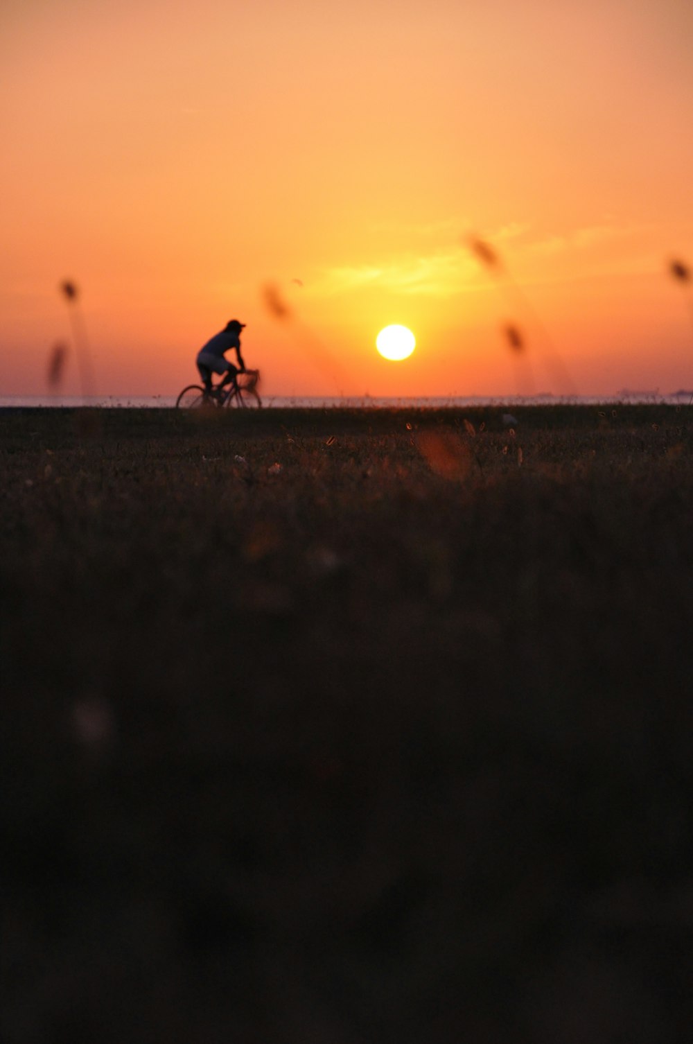 personne conduisant un vélo au coucher du soleil