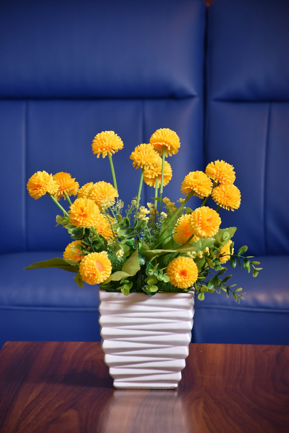 yellow petaled flowers