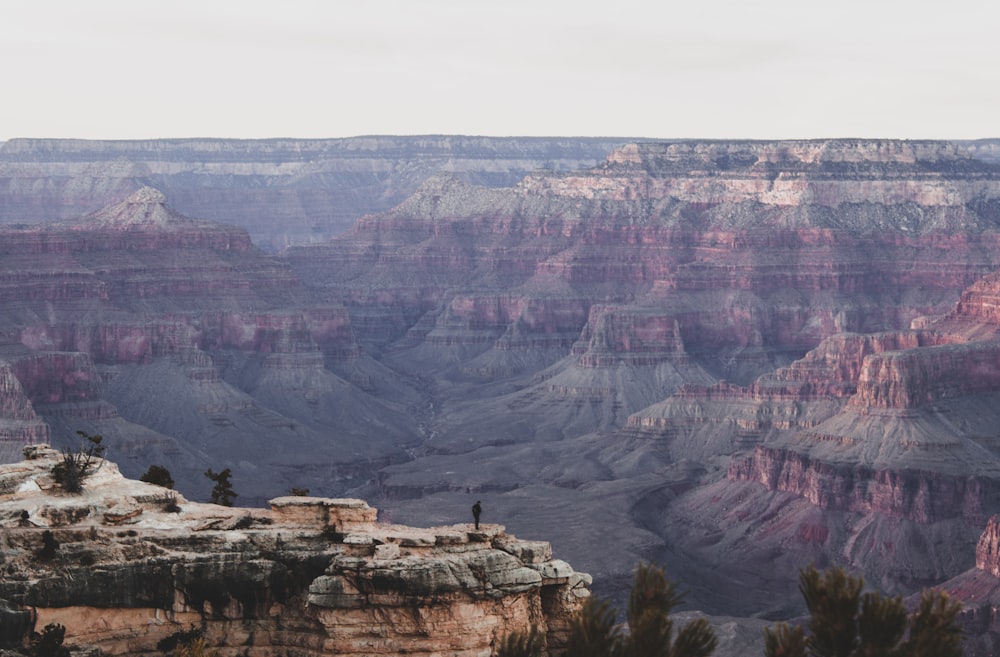 person standing on cliff