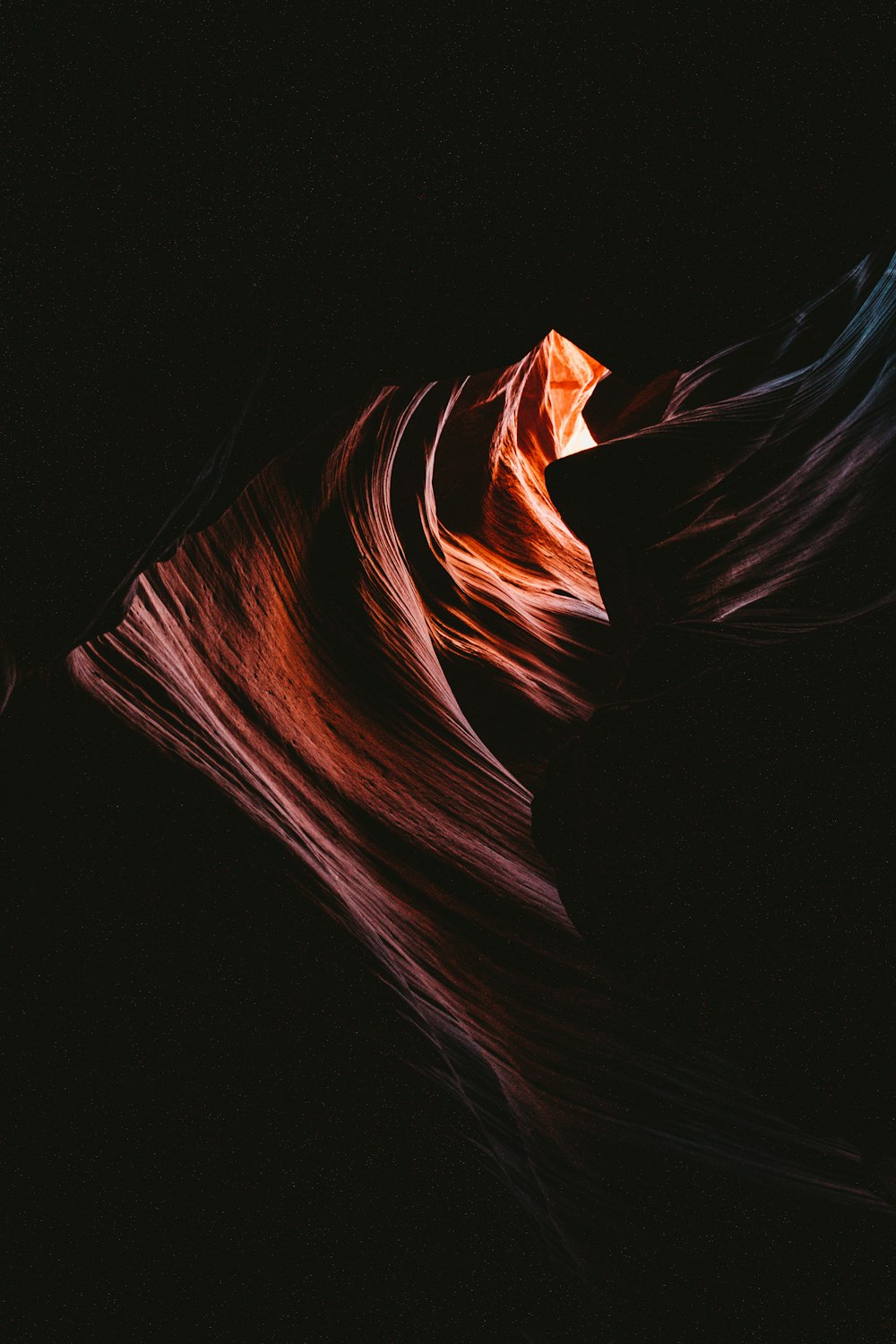 antelope of Grand Canyon at Arizona USA