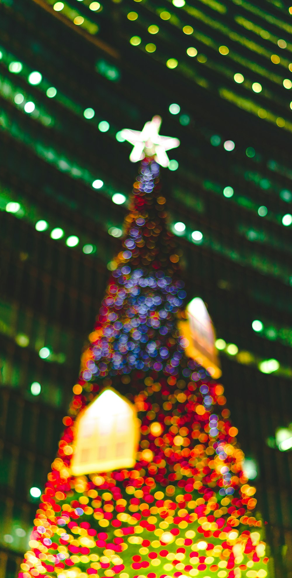 ライト付きクリスマスツリー