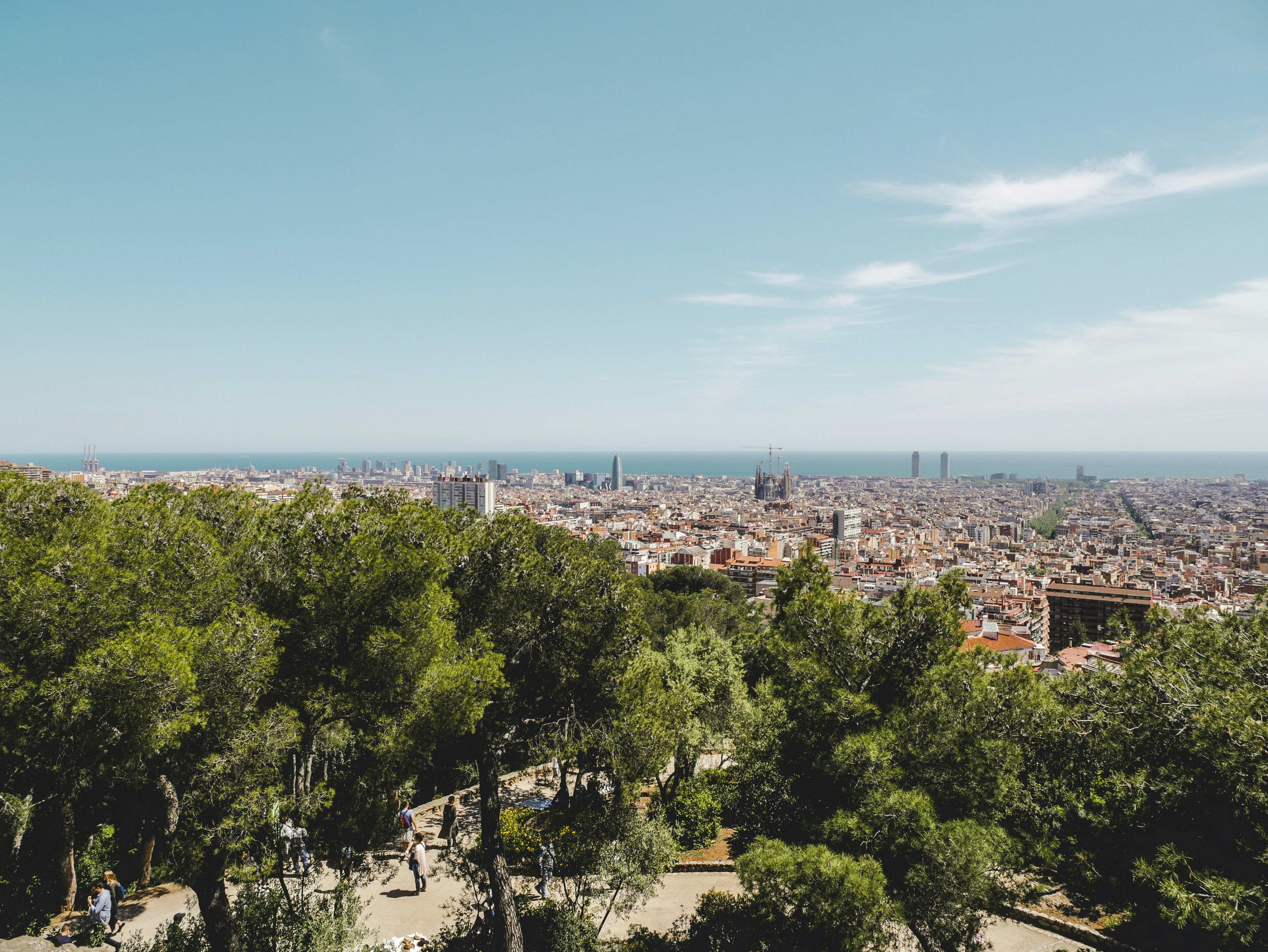 Image by Maik Selbmann via Unsplash