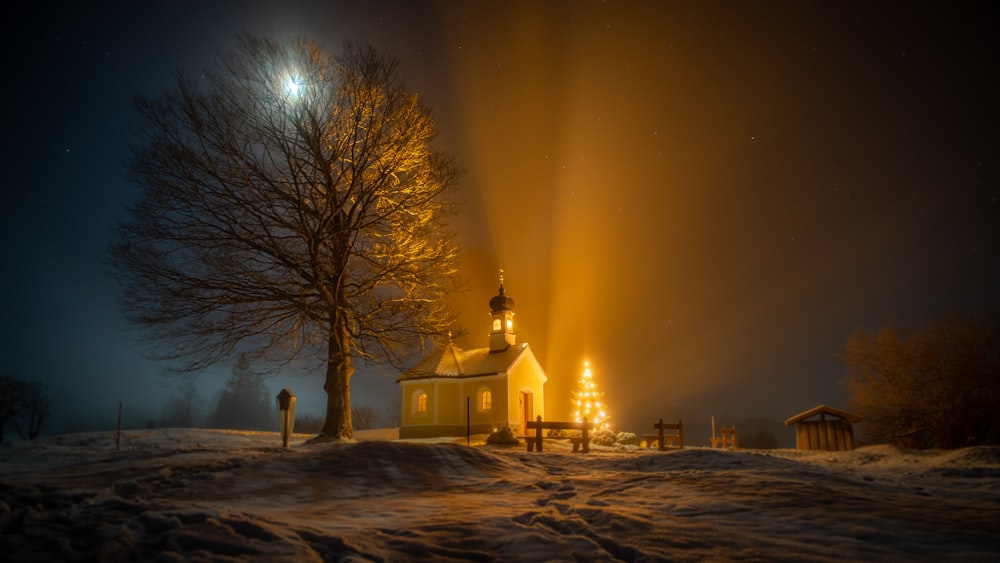 Chiesa bianca e albero marrone