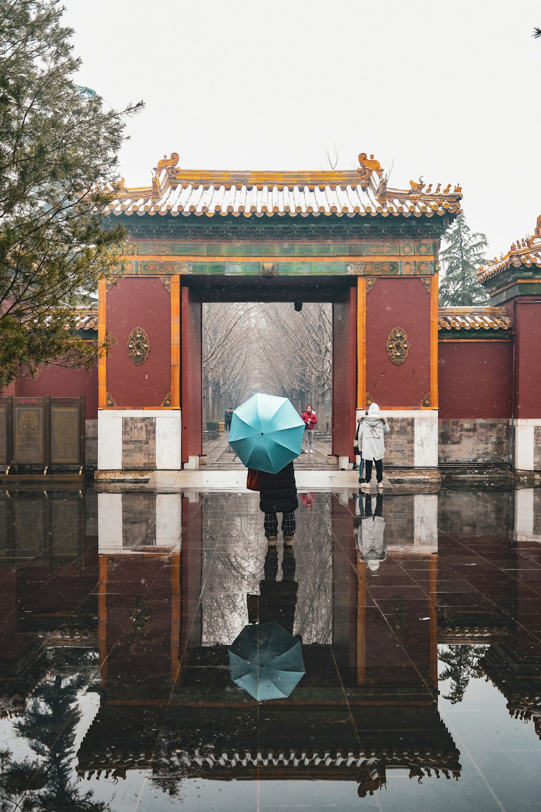 person holding teal umbrella