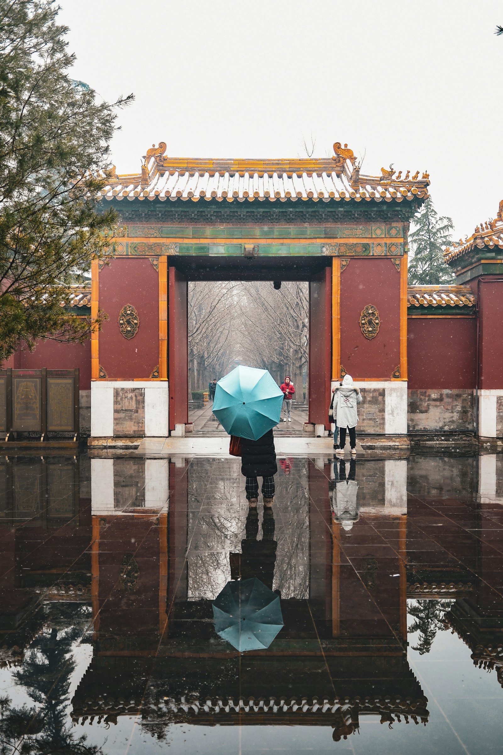 Nikon D500 + Nikon AF-S DX Nikkor 17-55mm F2.8G ED-IF sample photo. Person holding teal umbrella photography